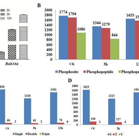 (A) qRT-PCR (quantitative Real Time-Polymerase Chain Reaction) analysis ... 