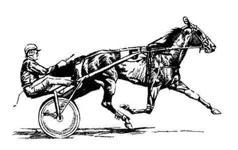 Standardbred Clipart 20 Free Cliparts Download Images On Clipground 2024