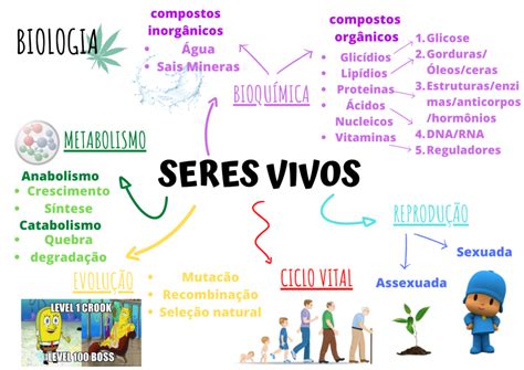 Mapa Mental Sobre Biologia Braincp