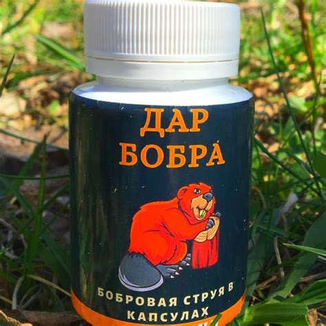Купить Бобровую струю, (кастореум, мускус), струя бобра от охотников ...