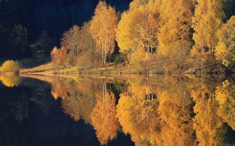 Wallpaper 2500x1563 Px Calm Fall Forest Hill Lake Landscape