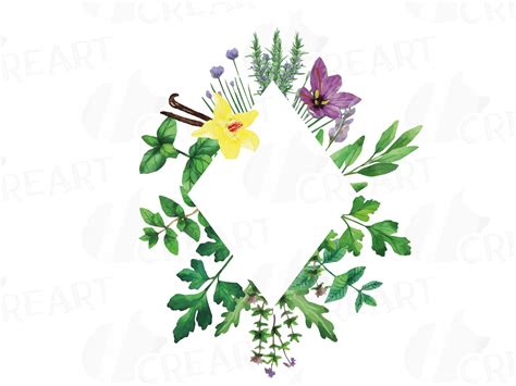 Herbs And Spices Frames Watercolor Clip Art Pack Watercolor Herb Leaves Borders Png  Svg