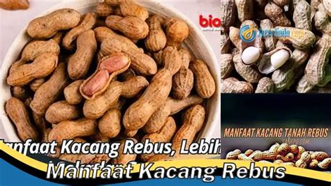 Temukan Manfaat Rebusan Kacang Yang Jarang Diketahui Anda Wajib Tahu