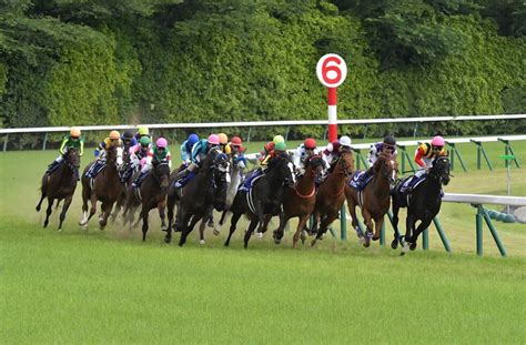 【安田記念2022予想】本命馬6選と穴馬5選・コース解説と適性・血統・過去10年データ分析と安田記念傾向3連単 ｜ 3連単6点勝負！競馬で夢