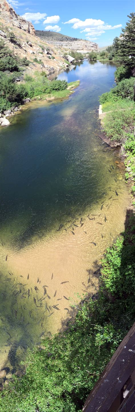 The Rise At Sinks Canyon State Park You Can Feed The Fish Here