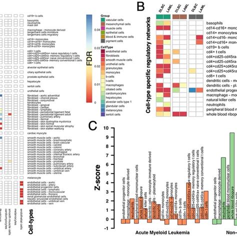 Tissue And Cancer Specificity Of Target Genes Regulated By