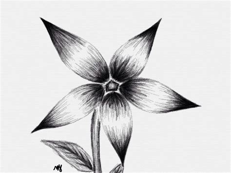 Shaded Flower Drawing | Free download on ClipArtMag