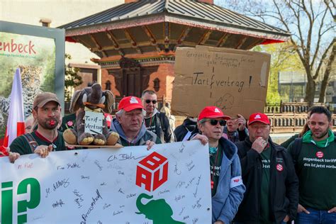 Streit Bei Hagenbeck Betriebsrat Triumphiert Vor Gericht MOPO