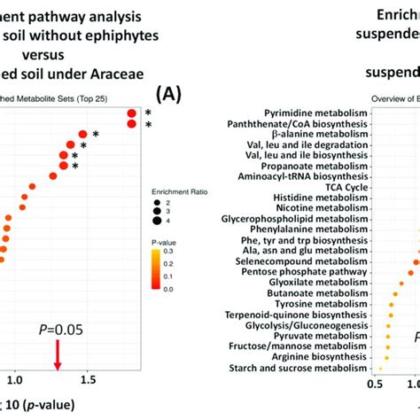 Enrichment Pathway Analysis Of Metabolomic Profiles Of Suspended Soils