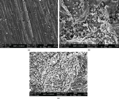 Sem Micrographs Of A Mild Steel B Mild Steel Immersed In Distilled