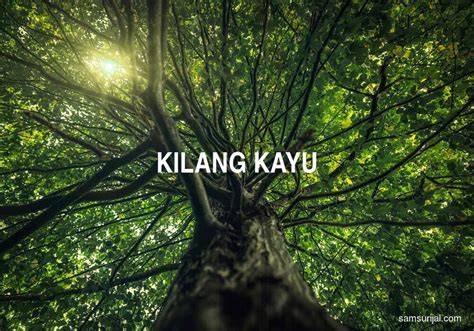 Arti Kata Kilang Kayu Kamus Besar Bahasa Indonesia Kbbi