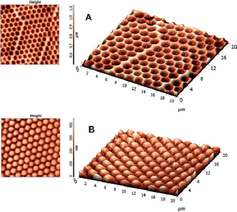 Silk Fibroin Films Patterned With Micrometric Cavities A And