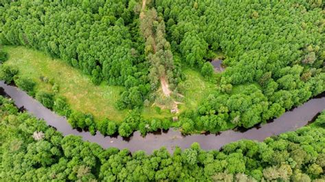 Top View Of Green Forest With Trees And River Merkys Railway Bridge