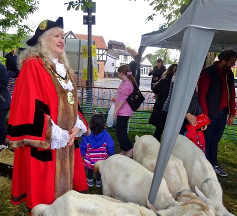 Pinner Rotary St George S Day Celebration Rotary District