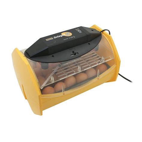 Top 10 Best Egg Incubators In 2022 Reviews GoOnProducts