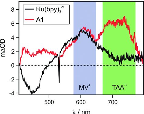 Transient Absorption Spectra Obtained After Excitation At 532 Nm With