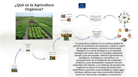 Qu Es La Agricultura Org Nica By Carlos Silva On Prezi