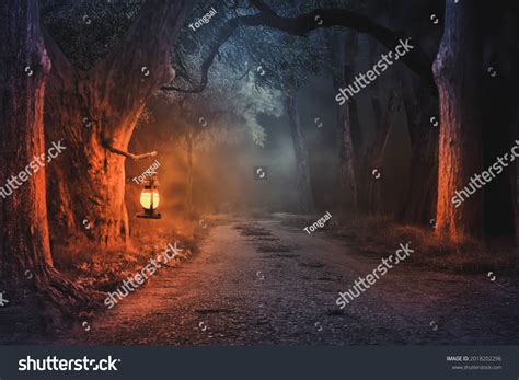 Rural Dirt Road Night Without Electricity Stock Photo 2018202296 | Shutterstock