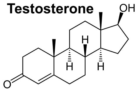 Androgen function, production, causes of excess androgen or low androgen