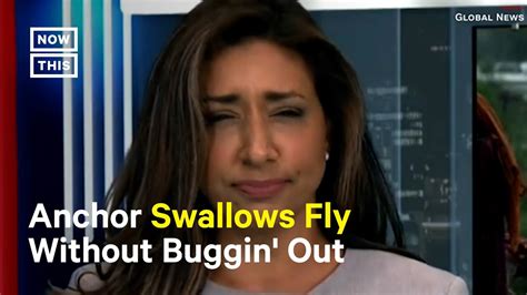 Bug Flies Into News Anchors Mouth On Live Tv Youtube