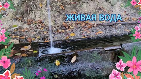 Кайтагский район, село Сулипа, Водный мир - YouTube