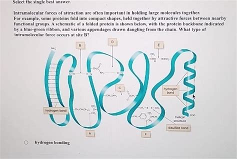 Solved Select The Single Best Answer Intramolecular Forces Chegg