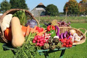 Le Panier De La Ferme Des Produits Frais Toute L Ann E Coubert