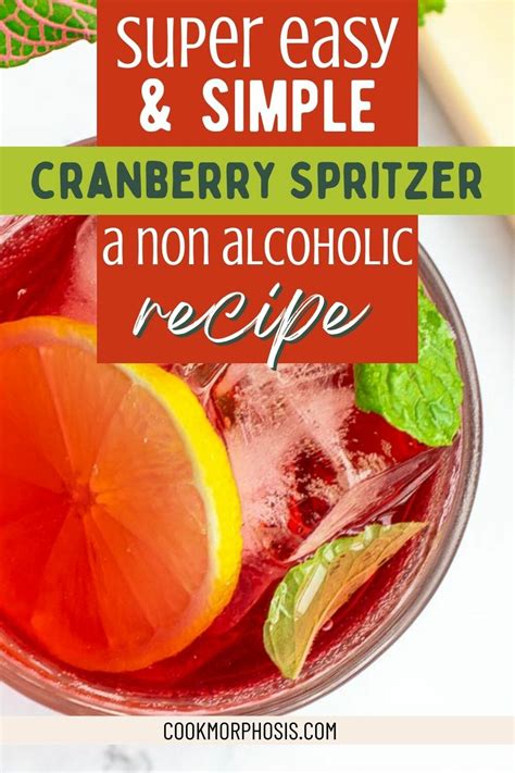 Super Easy Cranberry Spritzer Non Alcoholic