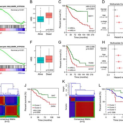 Validation Of The Gene Signature In Different Series A E Gsea