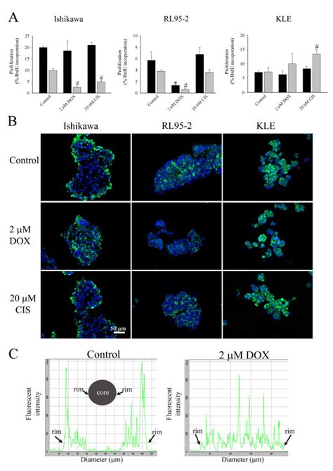 The Effect Of Doxorubicin Dox And Cisplatin Cis On Cell