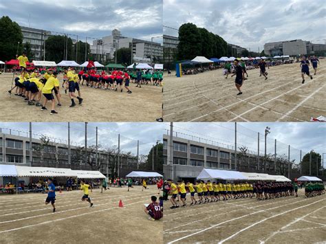 体育祭を実施しました！！ ｜ 東京都立三鷹中等教育学校 東京都立学校