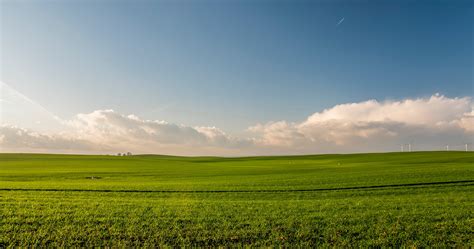 Free Photo Grass Field Backlit Light Travel Free Download Jooinn