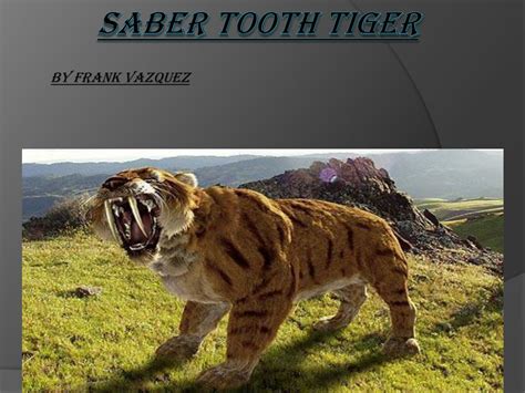 Ppt Saber Tooth Tiger Powerpoint Presentation Free Download Id 2581445