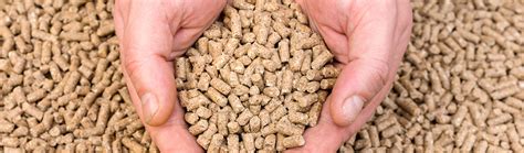 Defatted Soya Flour Feed Grade Toasted Deesan Agro Tech