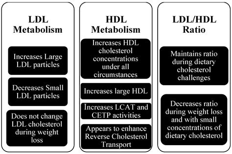 Ldl And Hdl Difference