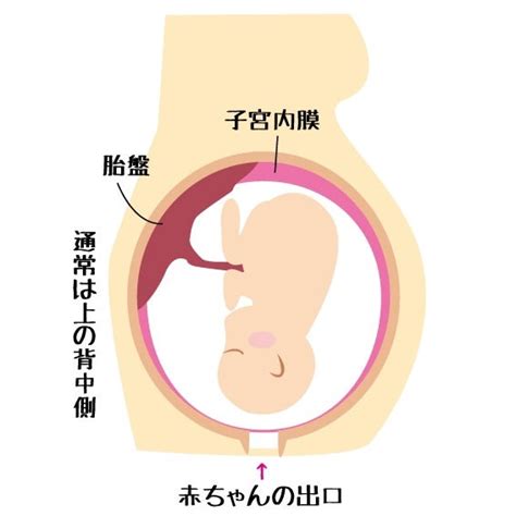 全前置胎盤について② 超ハイリスク妊婦の記録