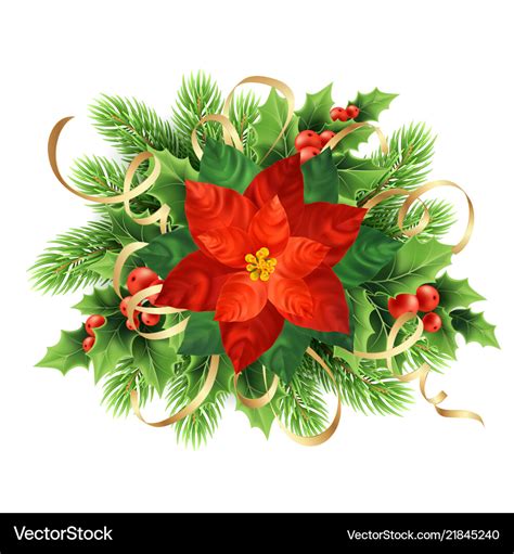 Red Poinsettia Flower Christmas Royalty Free Vector Image