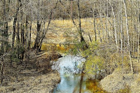 Congaree Creek 1 31 2022 Timmerman Trail Cayce SC Pent Flickr