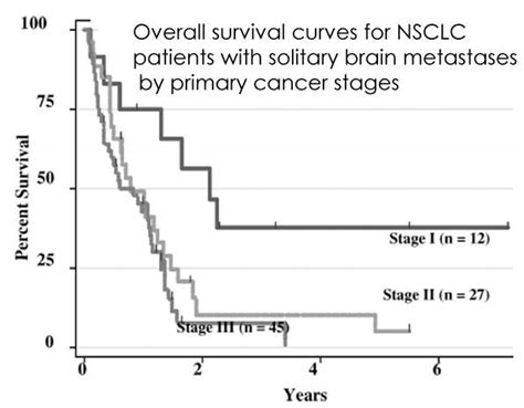 Lung cancer with brain metastases