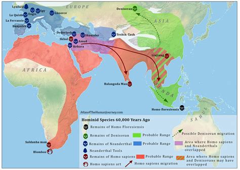 Neanderthal - Denisovan Hybrid Discovered