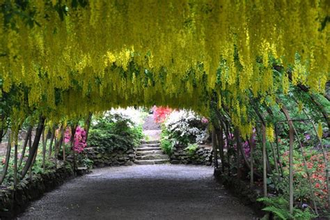 The Best Gardens To Visit In The Uk What S On By C Th Amazing