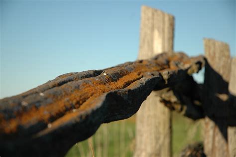 Fence Rust Iron - Free photo on Pixabay - Pixabay