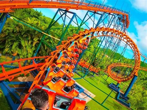 Beto Carrero World Saiba Quais Os Melhores Meses Para Visitar