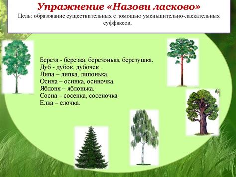 Игры и упражнения по развитию грамматического строя речи "Деревья ...
