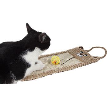 Natural Cat Toys (Free Shipping) | Chewy
