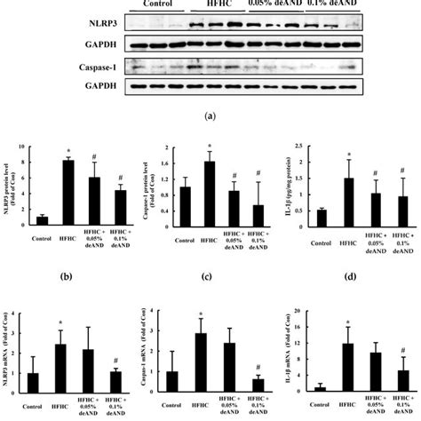 Western Blotting Analysis Of Nod Like Receptor Protein 3 Nlrp3 And Download Scientific