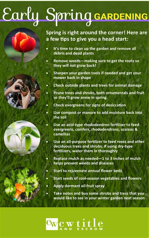 Early Spring Gardening Tips - Windermere Greenwood