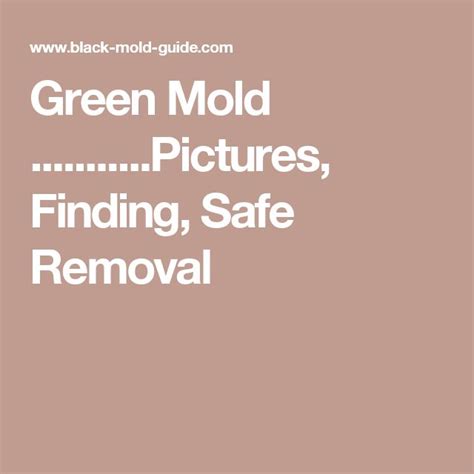 Green Mold ...........Pictures, Finding, Safe Removal | Green, Molding ...