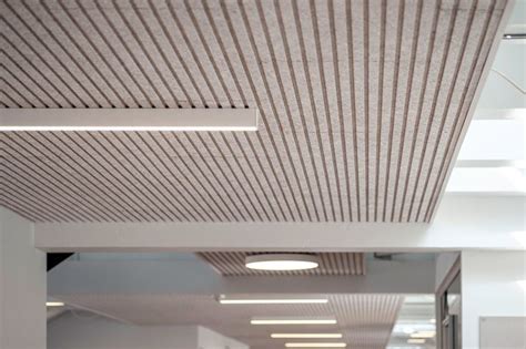 Troldtekt® Line Acoustic Ceiling In Dynamic Workplace Interior Design Your Home Acoustic