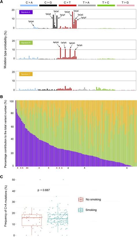 Three Mutational Signatures Identified In Escc And Their Incidence Download Scientific Diagram